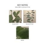 NEST New York Wild Mint & Eucalyptus Scented Classic Candle - 8.1 oz, 60-Hour Burn, Reusable Glass Container - Image 4