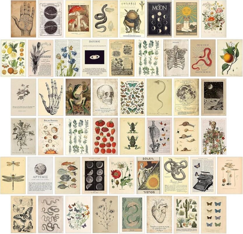 We Reviewed KOSKIMER’s 50-Piece Vintage Wall Collage Kit