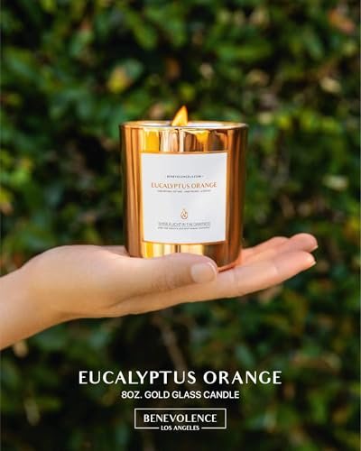 4111RvtdIML._SL500_.jpg Benevolence LA Eucalyptus Orange Wood Wick Candles | 8oz Soy Aromatherapy for Home | Ideal Gift for Men & Women | 45 Hour Burn - Image 2