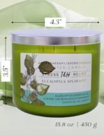 Eucalyptus Spearmint Aromatherapy 3-Wick Soy Candle - 15.8 oz, Ideal Gift for Men & Women - Image 6