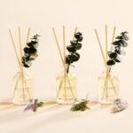 Cocorrina Eucalyptus Reed Diffuser Set of 3: Lavender Eucalyptus, Black Forest, Clean Cotton, 5.1 oz Total - Image 2