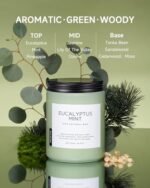 M&SENSE Eucalyptus & Mint Candles: 19.4oz Soy Aromatherapy for 110 Hours of Stress Relief. Perfect for Meditation, Yoga, and Relaxation. - Image 2