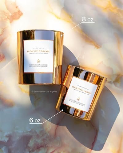 41FsFjomwJL._SL500_.jpg Benevolence LA Eucalyptus Orange Wood Wick Candles | 8oz Soy Aromatherapy for Home | Ideal Gift for Men & Women | 45 Hour Burn - Image 5
