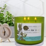 Eucalyptus Spearmint Aromatherapy 3-Wick Soy Candle - 15.8 oz, Ideal Gift for Men & Women - Image 8