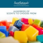 Scentsationals Zen Wax Melts - 10oz (24 Cubes) with Strong, Long-Lasting Fragrance for Warmers - Image 4