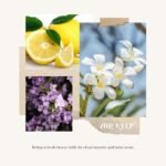 Airkeep Clean Linen Reed Diffuser Set, 3.38 fl oz (100 ml) with 8 Sticks - Ideal Bathroom Fragrance Decor - Image 7