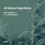 Pure SAGE 101 Long-Lasting White Sage Candle – 6 Oz, 35-Hour Burn, Organic Soy for Home Cleansing & Calm. - Image 3
