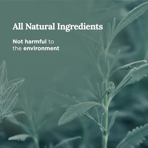 41UfzhreFuL._SL500_.jpg Pure SAGE 101 Long-Lasting White Sage Candle – 6 Oz, 35-Hour Burn, Organic Soy for Home Cleansing & Calm. - Image 3