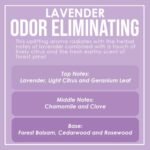 Lavender-Scented Odor Eliminating Candle – Removes 95% of Pet, Smoke, and Food Odors – 80 Hour Burn Time, 12 oz Premium Soy Blend - Image 4