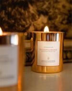 Benevolence LA Eucalyptus Orange Wood Wick Candles | 8oz Soy Aromatherapy for Home | Ideal Gift for Men & Women | 45 Hour Burn - Image 3