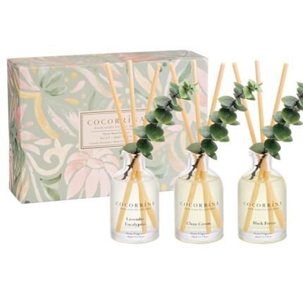Cocorrina Eucalyptus Reed Diffuser Set of 3 - Lavender Eucalyptus, Black Forest, Clean Cotton Scents, 1.7 fl oz Each, Total 5.1 oz, Scented Oil Diffusers for Home & Office