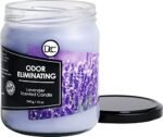 Lavender-Scented Odor Eliminating Candle – Removes 95% of Pet, Smoke, and Food Odors – 80 Hour Burn Time, 12 oz Premium Soy Blend - Image 2