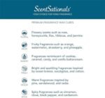 Scentsationals Zen Wax Melts - 10oz (24 Cubes) with Strong, Long-Lasting Fragrance for Warmers - Image 6