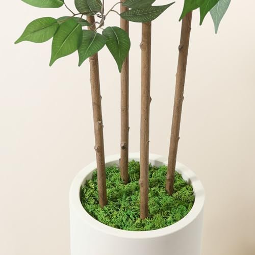 41pFMaXrdNL._SL500_.jpg SOGUYI 6ft Ficus Artificial Tree: Faux Silk Plant in White Ceramic Planter for Indoor Home Office Decor. - Image 5