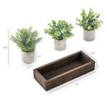 3-Pack Mini Potted Artificial Eucalyptus Plants with Wood Tray – Rustic Home Decor Centerpiece for Table, Office, Kitchen. - Image 6