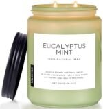 M&SENSE Eucalyptus & Mint Candles for Home Scented, 19.4oz 110 Hours Burn Soy Aromatherapy Candle Gift for Stress Relief, Meditation, Yoga, Relaxing SPA, Natural Soy Wax for Men and Women