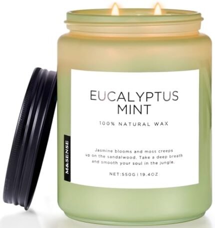 M&SENSE Eucalyptus & Mint Candles for Home Scented, 19.4oz 110 Hours Burn Soy Aromatherapy Candle Gift for Stress Relief, Meditation, Yoga, Relaxing SPA, Natural Soy Wax for Men and Women