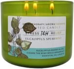 Eucalyptus Spearmint Aromatherapy 3-Wick Soy Scented Candle - 15.8 oz Large Candle for Men and Women - Long Lasting Decorative Gift