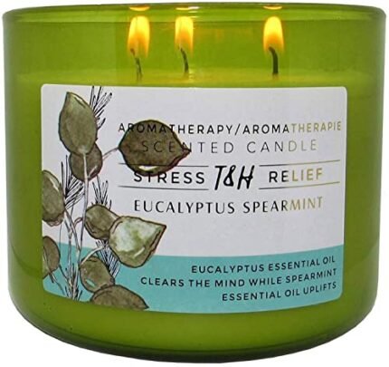 Eucalyptus Spearmint Aromatherapy 3-Wick Soy Scented Candle - 15.8 oz Large Candle for Men and Women - Long Lasting Decorative Gift