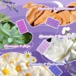 SCENTORINI Wax Melts - Long-Lasting Lavender Scent, 4-Pack (Sage, Chamomile, Sandalwood) - 2.5 oz - Image 2