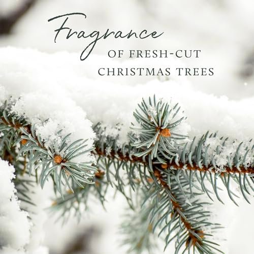 512WHcdLj-L._SL500_.jpg Thymes Luxury Scented Candles for Men & Women - Frasier Fir, 6.5 oz - Crisp Siberian Fir & Cedarwood - Image 6