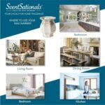 Scentsationals Zen Wax Melts - 10oz (24 Cubes) with Strong, Long-Lasting Fragrance for Warmers - Image 7