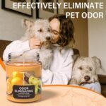 TRINIDa Orange & Vanilla Odor Eliminating Candles - Banish 99% of Unwanted Smells Quickly! - Image 4