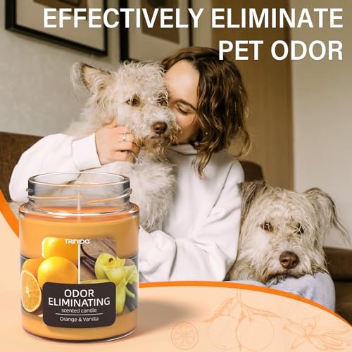 5142dn1UYML._SL500_.jpg TRINIDa Orange & Vanilla Odor Eliminating Candles - Banish 99% of Unwanted Smells Quickly! - Image 4