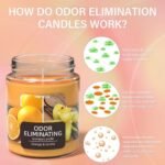 TRINIDa Orange & Vanilla Odor Eliminating Candles - Banish 99% of Unwanted Smells Quickly! - Image 2