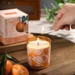 ROMIIE ZOI Citrus Scented Candle - 6oz Aromatherapy Soy Wax Jar - Perfect Home Gift for Women - Image 6
