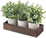 3-Pack Mini Potted Artificial Eucalyptus Plants with Wood Tray – Rustic Home Decor Centerpiece for Table, Office, Kitchen. - Image 5