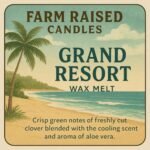 16oz Resort Soy Wax Melts 5-Pack: Clean Scents of Cashmere, Eucalyptus, White Tea & Sage, Cactus. Premium Designer Fragrance Oils. - Image 3