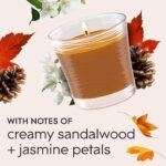 Glade 1-Wick Cashmere Woods Scented Candle Jar, 4.08 Oz, 2 Count - Essential Oil Air Freshener. - Image 5
