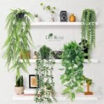 Der Rose 4Pcs Faux Hanging Plants: Ivy Vine, Eucalyptus, Boston Fern & String of Pearls for Boho Indoor/Outdoor Decor. - Image 6