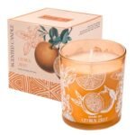 ROMIIE ZOI Scented Candle - Citrus - 6oz Aromatherapy Soy Wax Jar Candle for Home, Gifts for Women - 170g