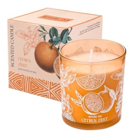 ROMIIE ZOI Scented Candle - Citrus - 6oz Aromatherapy Soy Wax Jar Candle for Home, Gifts for Women - 170g