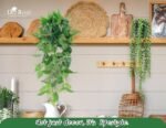 Der Rose 4Pcs Faux Hanging Plants: Ivy Vine, Eucalyptus, Boston Fern & String of Pearls for Boho Indoor/Outdoor Decor. - Image 5