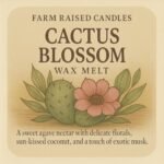 16oz Resort Soy Wax Melts 5-Pack: Clean Scents of Cashmere, Eucalyptus, White Tea & Sage, Cactus. Premium Designer Fragrance Oils. - Image 6