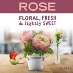 MRS. MEYER'S CLEAN DAY Rose Soy Tin Candle, 2.9 oz, 12-Hour Burn Time, Made with Soy Wax & Essential Oils. - Image 3