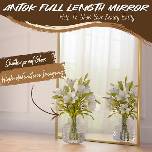 51hCGilBVZL._SL500_.jpg 58"x19" Gold Arch Full Length Floor Mirror - Freestanding or Wall-Mounted for Bedroom & Living Room - Image 5