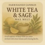 16oz Resort Soy Wax Melts 5-Pack: Clean Scents of Cashmere, Eucalyptus, White Tea & Sage, Cactus. Premium Designer Fragrance Oils. - Image 7