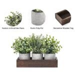 3-Pack Mini Potted Artificial Eucalyptus Plants with Wood Tray – Rustic Home Decor Centerpiece for Table, Office, Kitchen. - Image 4