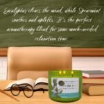 Eucalyptus Spearmint Aromatherapy 3-Wick Soy Candle - 15.8 oz, Ideal Gift for Men & Women - Image 9