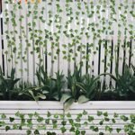ARTKAIKE 12 Pack Fake Vines - 84 Feet of Aesthetic Artificial Ivy for Home, Bedroom, Wedding & Party Decor - Image 7