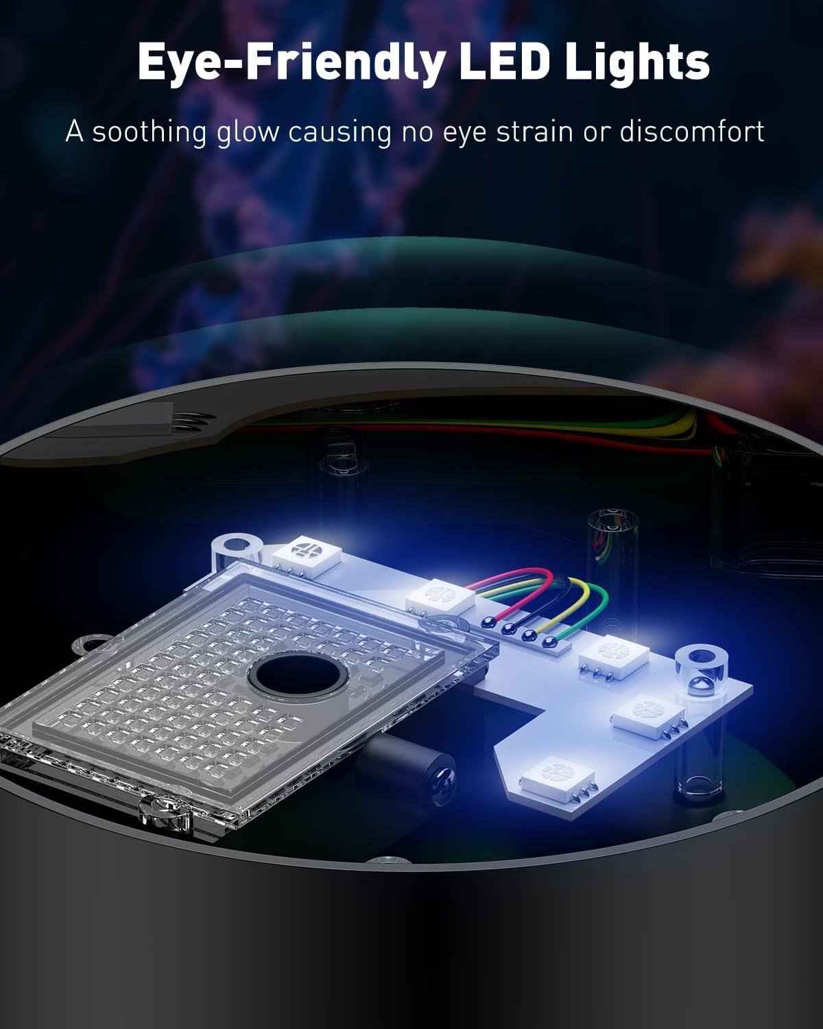 discovering the Pawfly 11