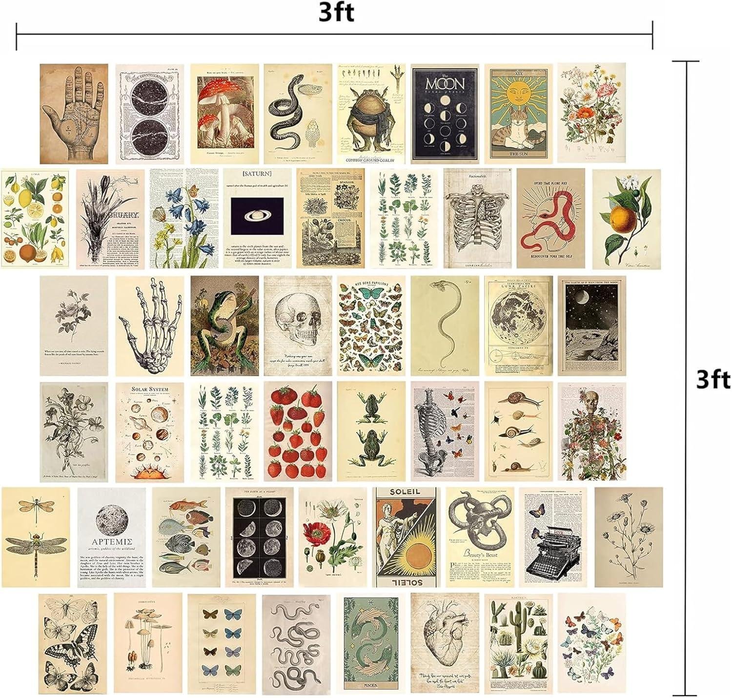 We Reviewed KOSKIMER's 50-Piece Vintage ⁤Wall‍ Collage Kit