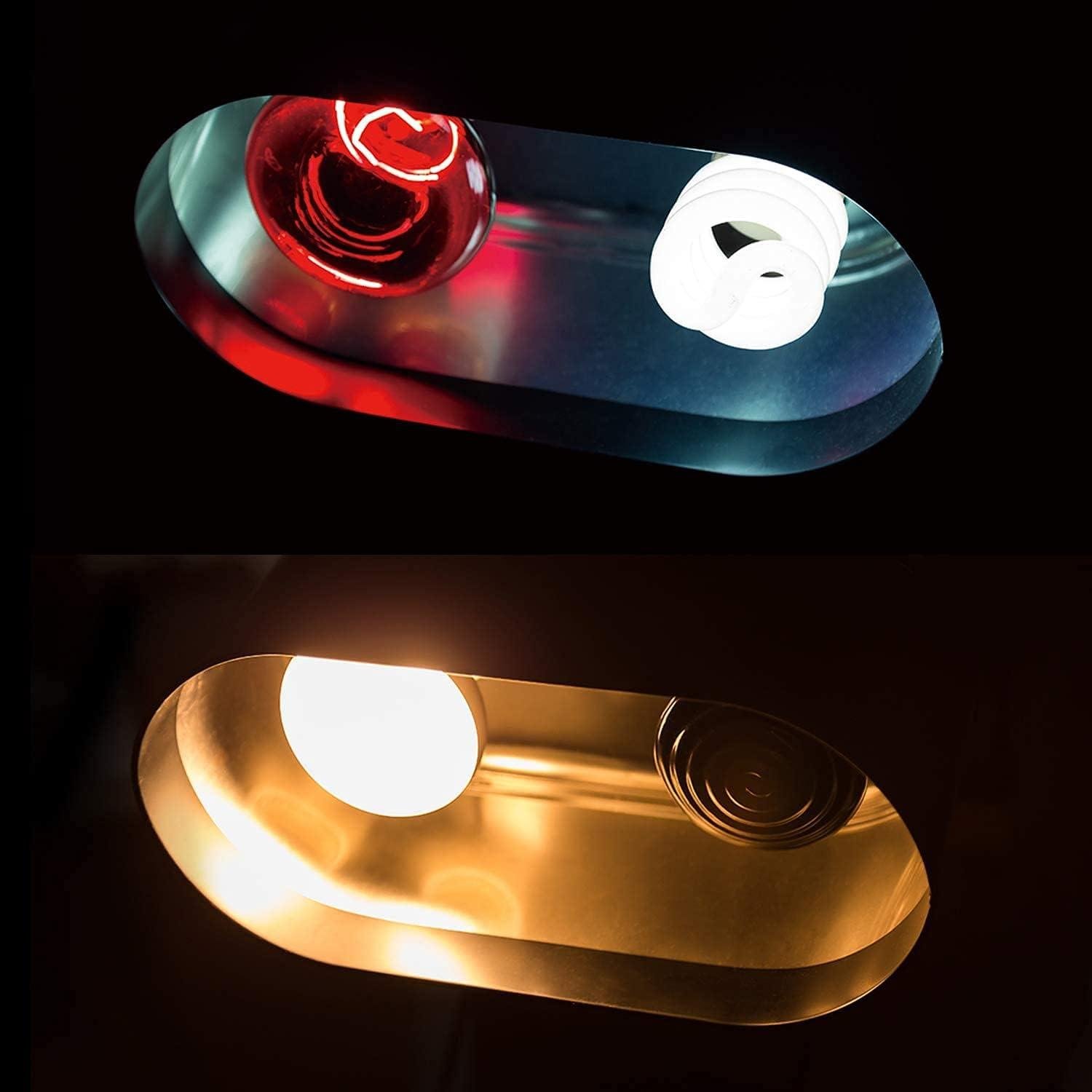 Our Review of the REPTI ZOO Dual Reptile Light Fixture: Versatile & Reliable