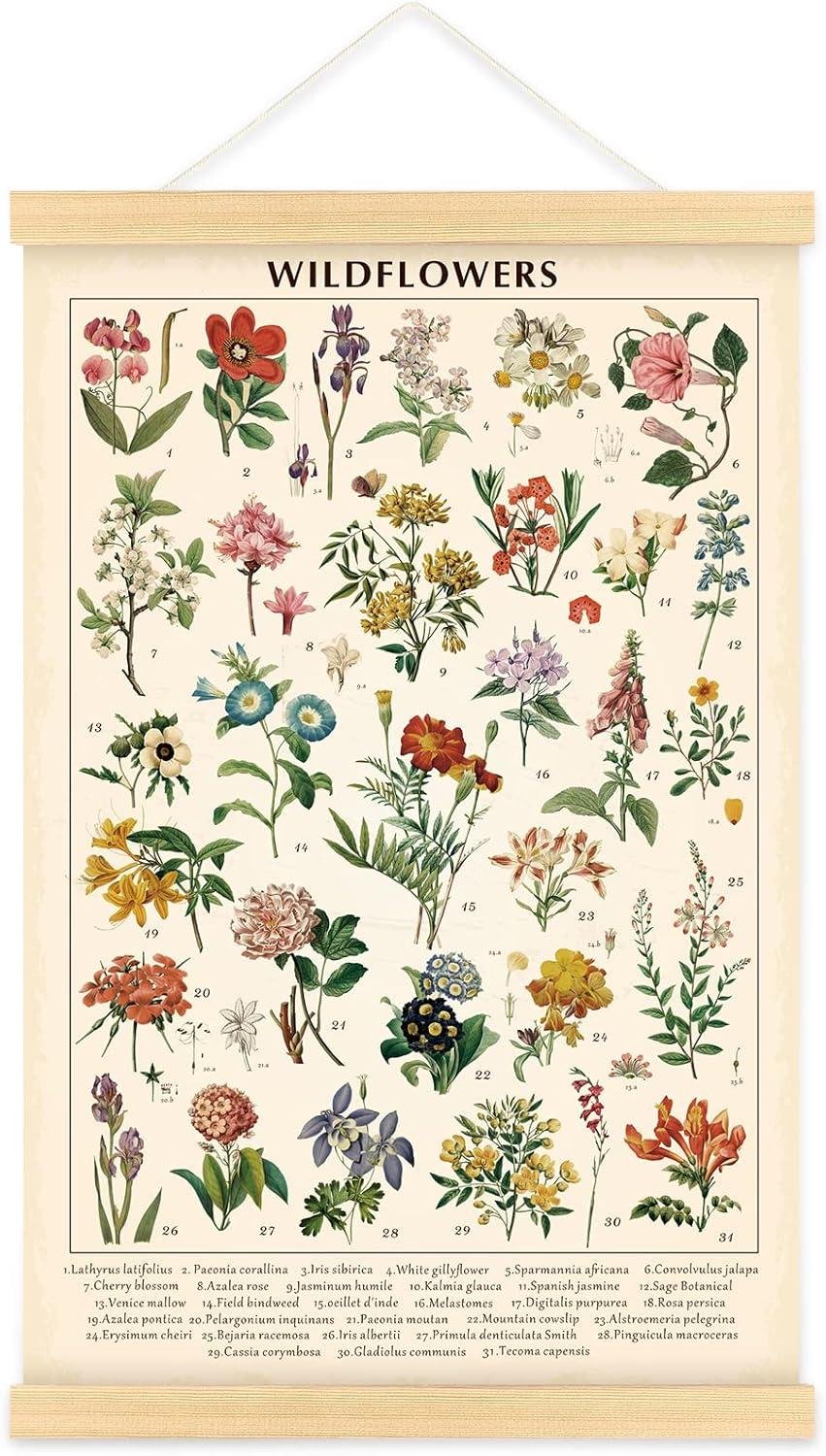 Our Vintage Wildflower Poster: Colorful Decor & Learning Tool