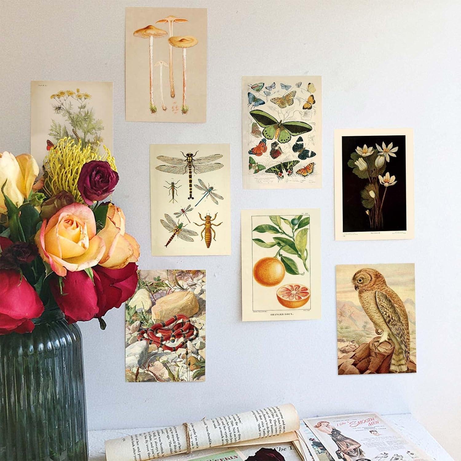 We Tried the LA MAISON COZY Boho Wall Collage Kit