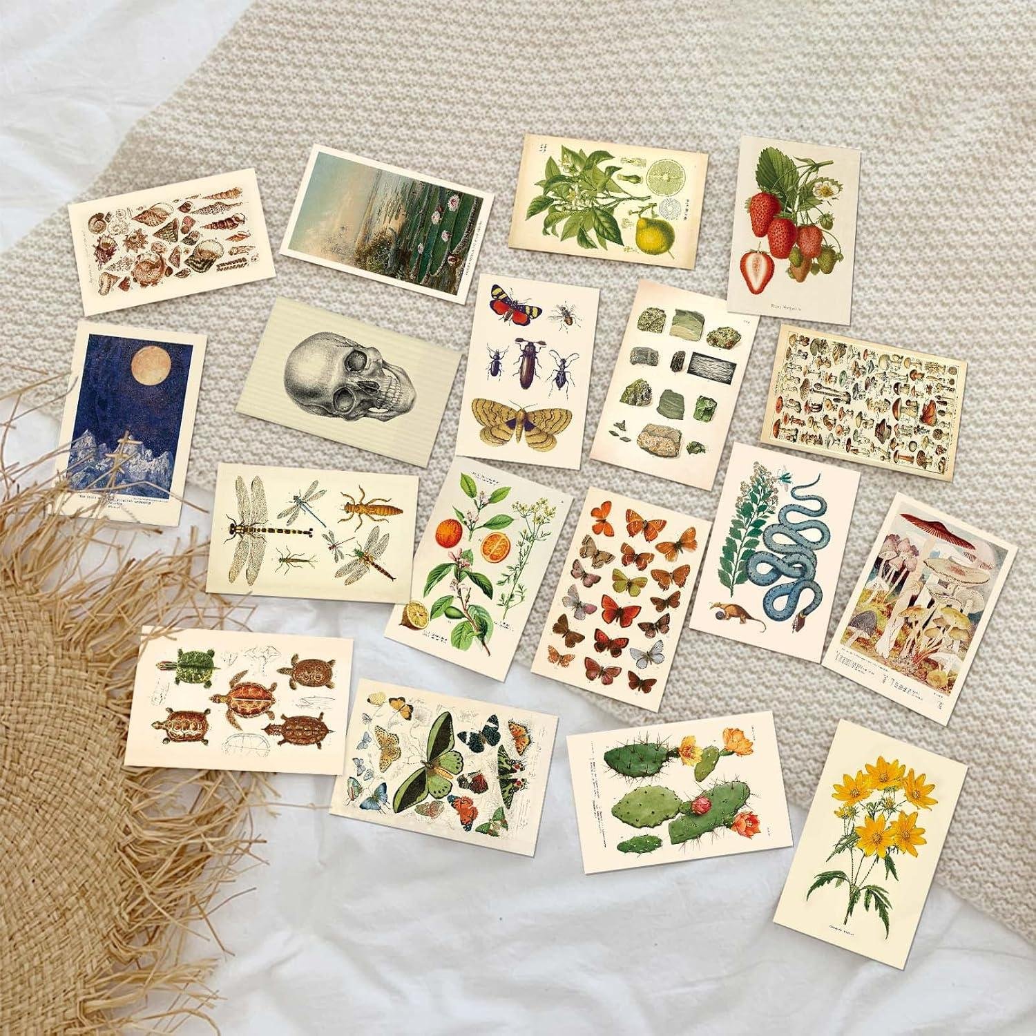 We Tried the LA MAISON COZY Boho Wall Collage Kit